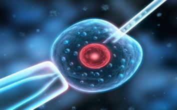 案例